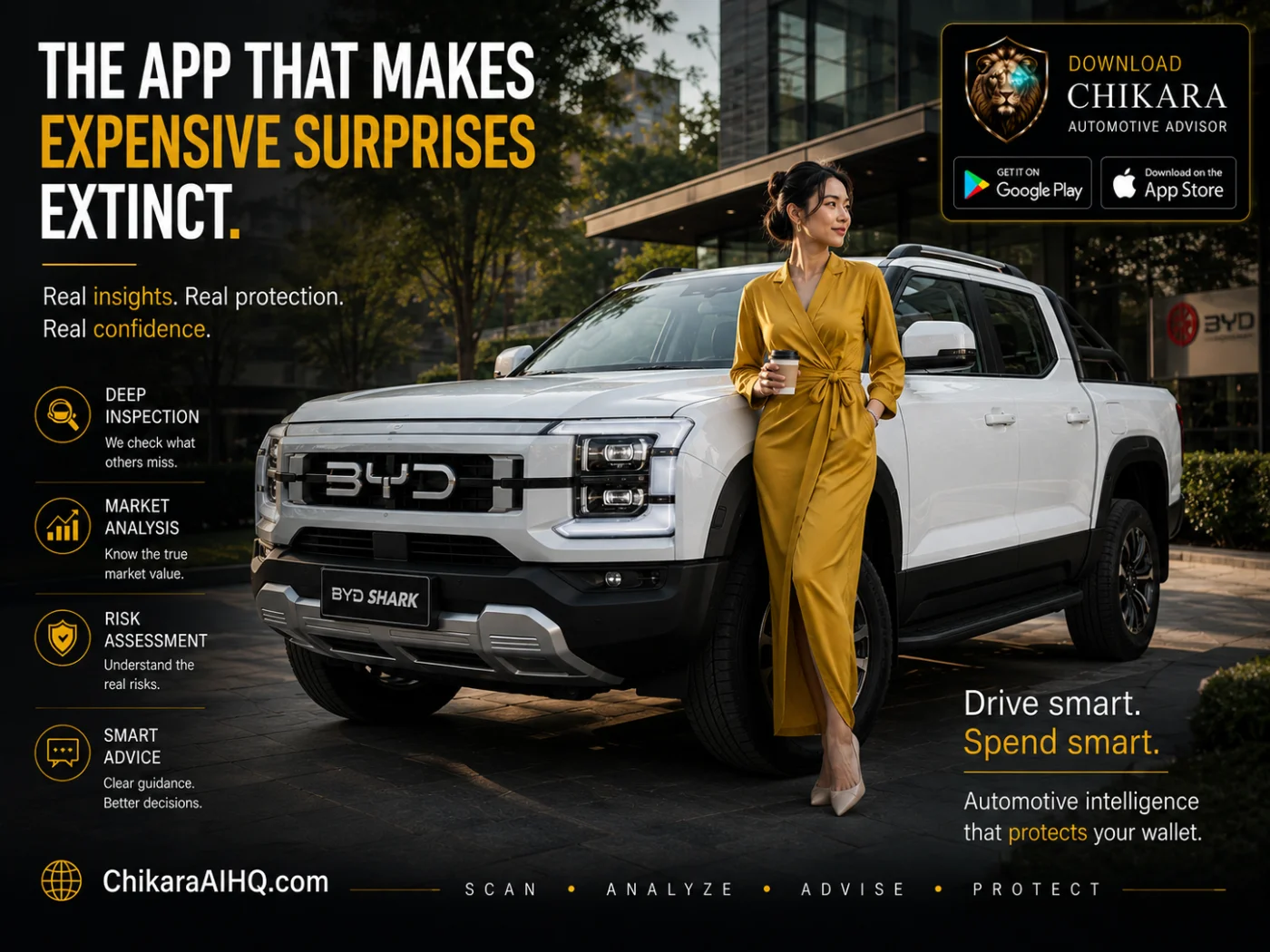 CHIKARA campaign creative