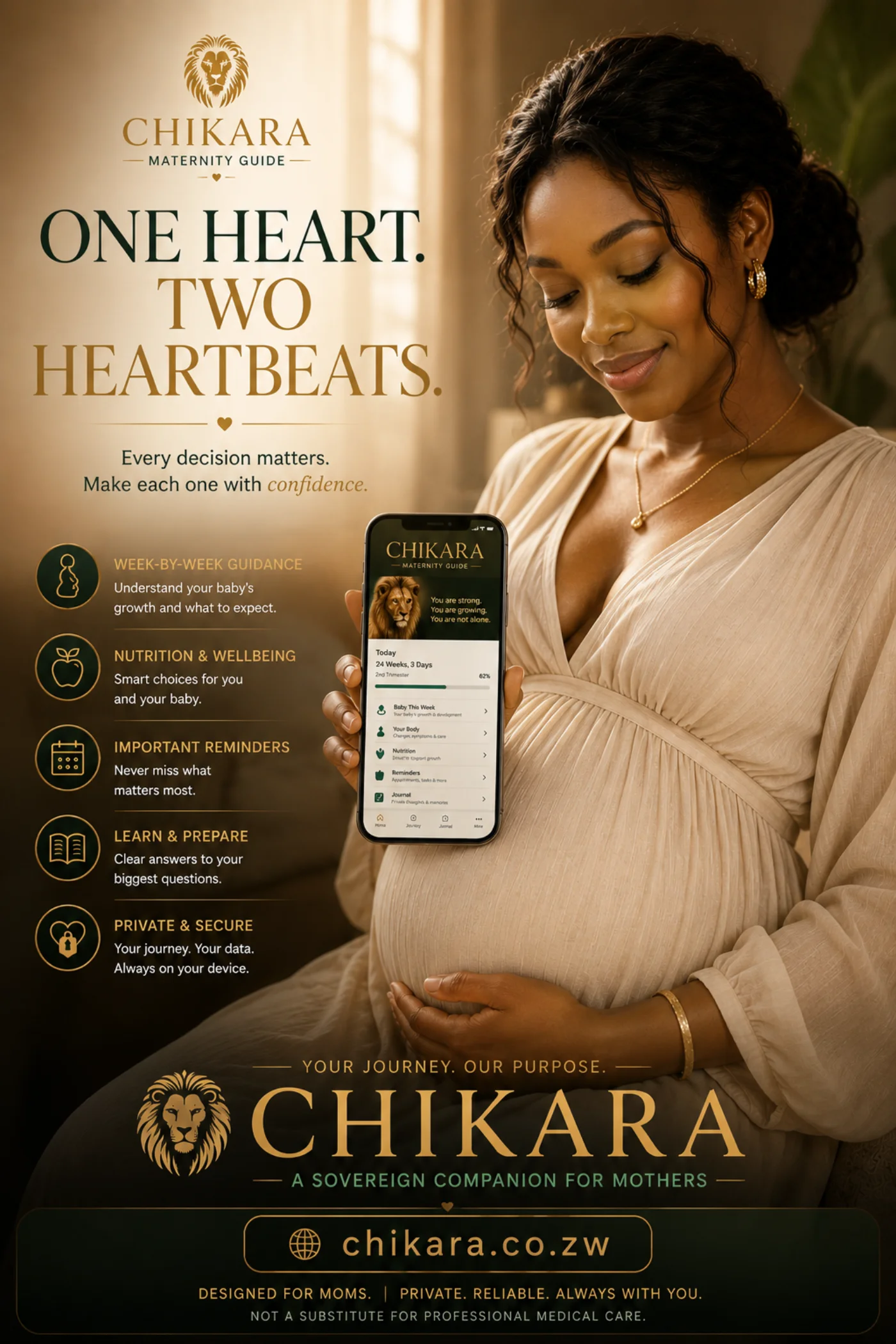 CHIKARA campaign creative