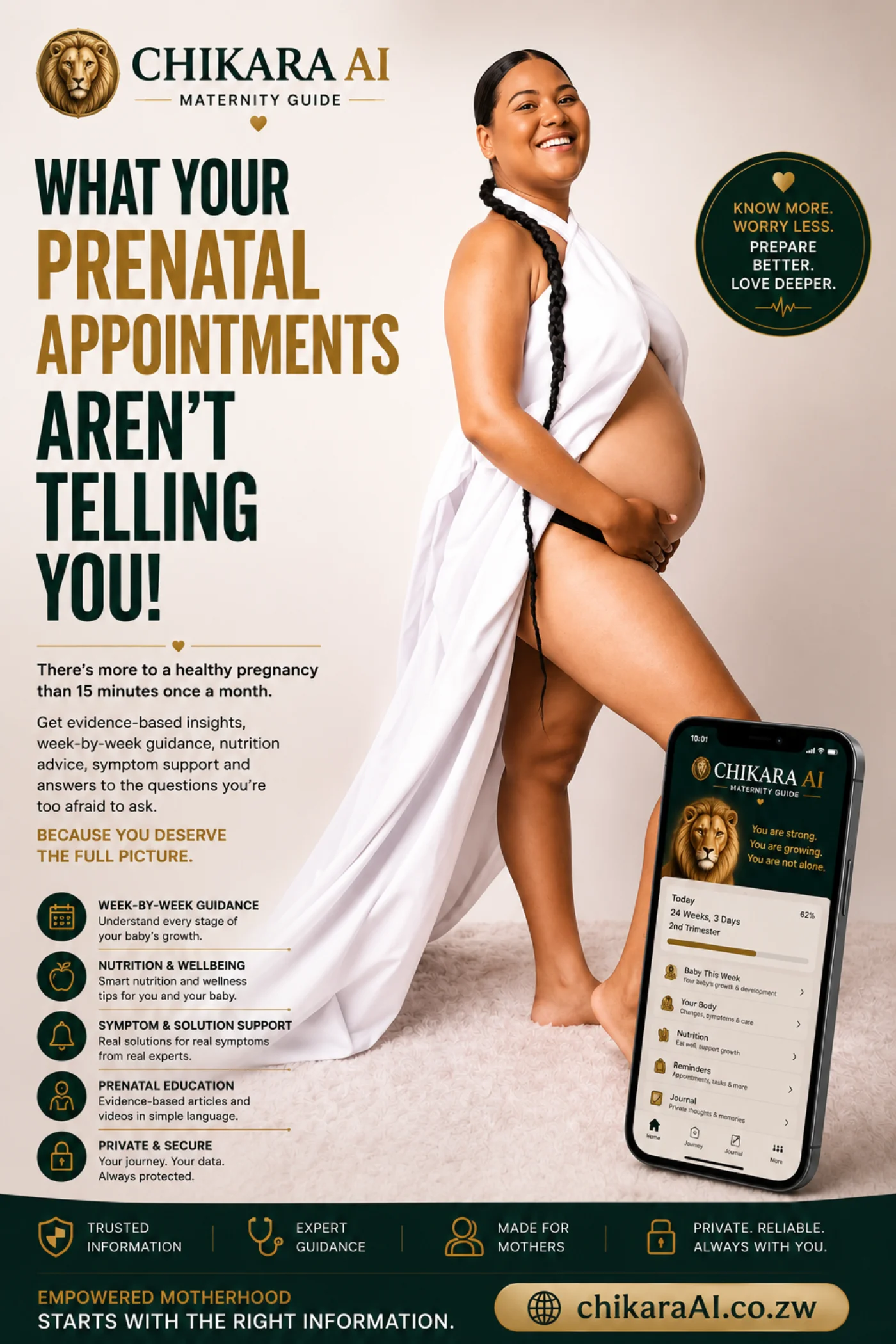 CHIKARA Maternity Guide campaign creative